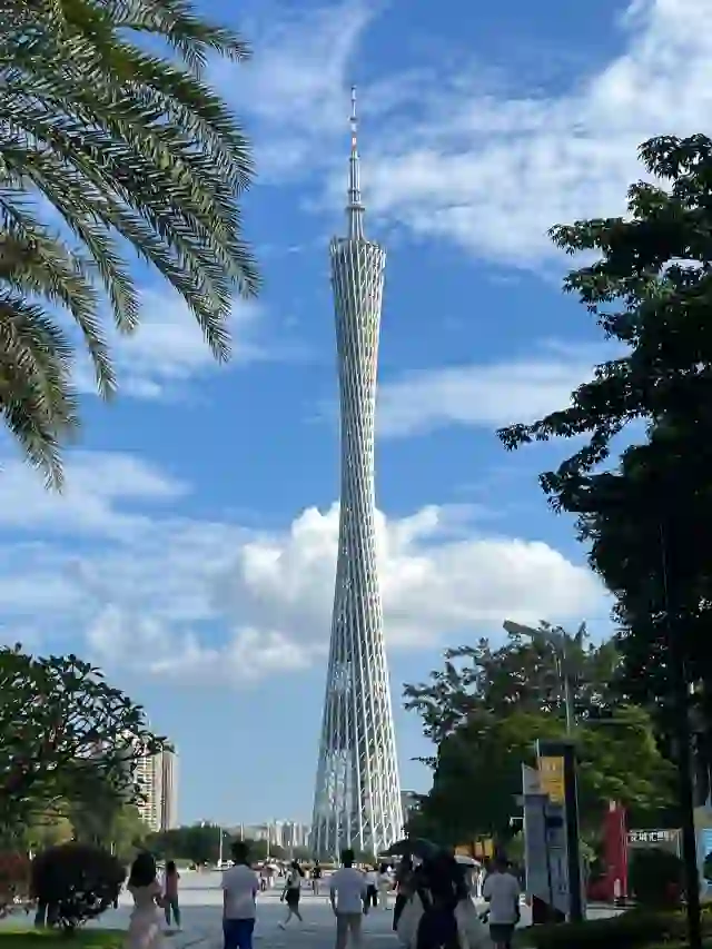 广州团建烧烤露营一日游丨广州团建攻略（广州户外团建一日游）