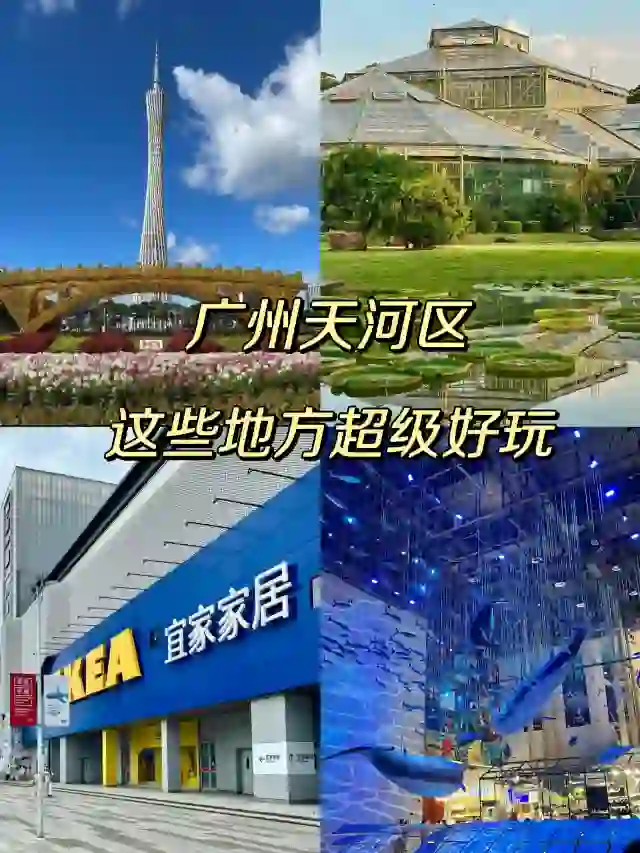 广州团建烧烤露营一日游丨广州团建攻略（广州户外团建一日游）