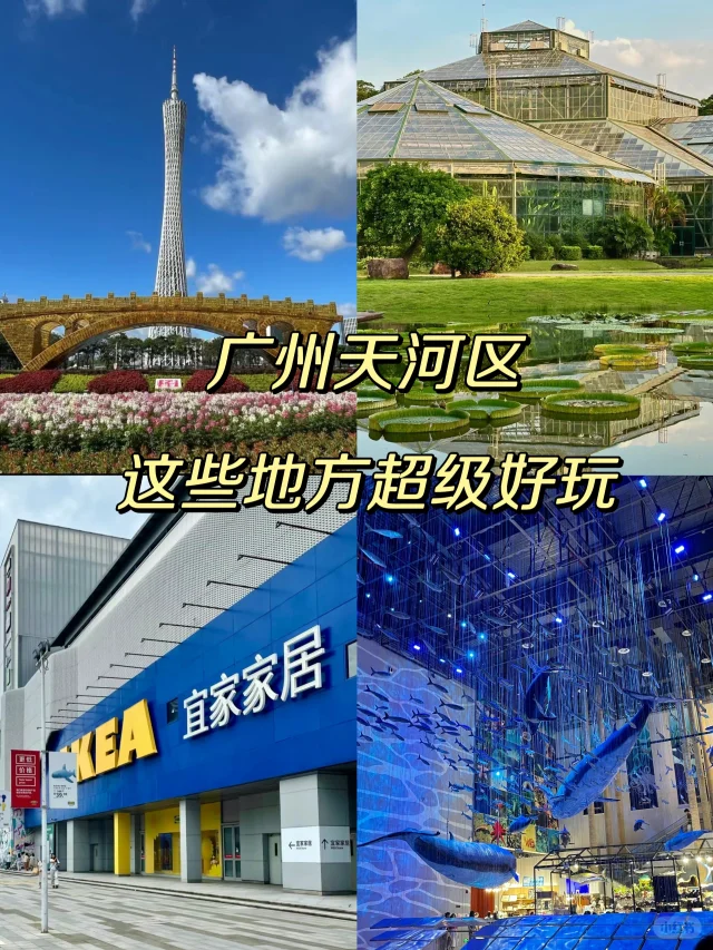 营造敬老良好氛围构建老年友好型社会（营造老年友善氛围）