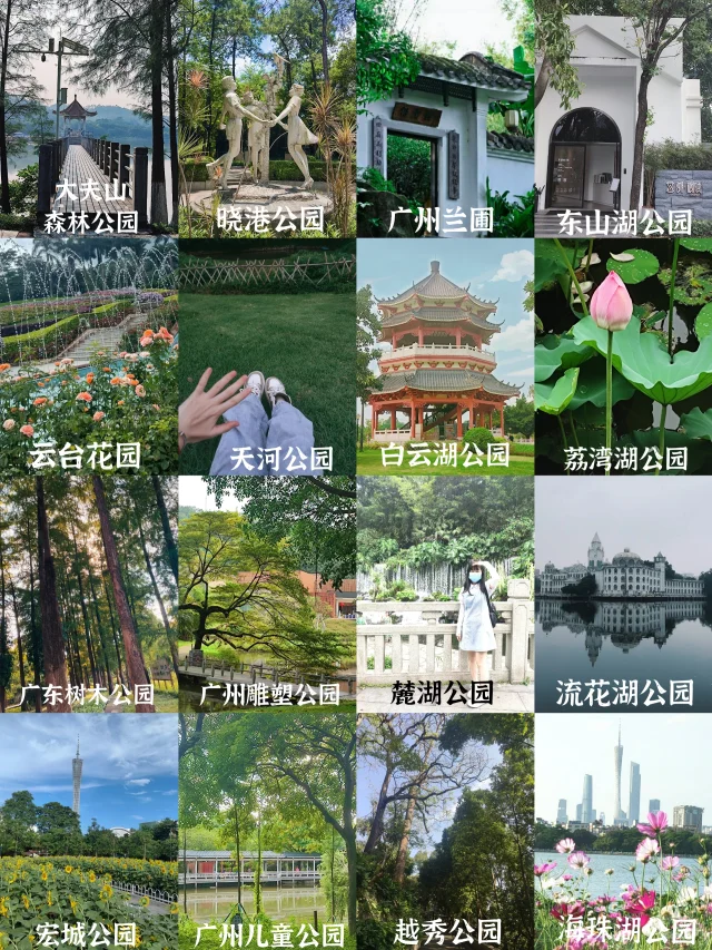 广州团建烧烤露营一日游丨广州团建攻略（广州户外团建一日游）