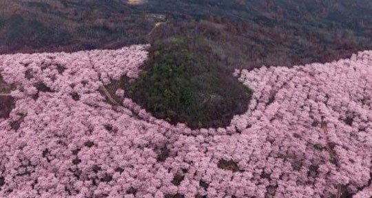 广州团建烧烤露营一日游丨广州团建攻略（广州户外团建一日游）